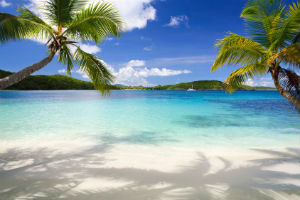I giocatori più vincenti ai tornei di PokerStars Caribbean Adventure