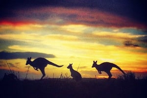 William Hill fa una revisione strategica delle sue attività in Australia