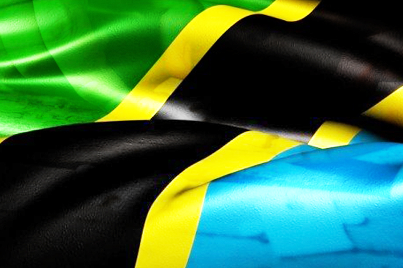 Pronet Gaming Esalta Espansione in Tanzania con PrincessBet