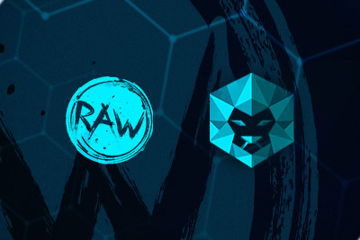 LEANDER GAMES VIENE ACQUISTATA DA RAW GAMING
